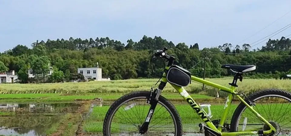 Primary image of Private Chengdu Half Day Bike Tour tour